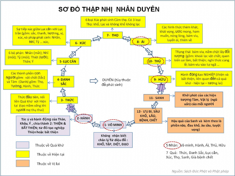 Thập Nhị Nhân Duyên - 十 二 因 緣 - The Twelve Nidānas