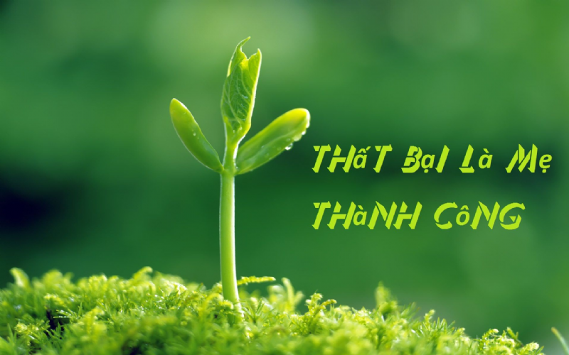 Thất bại cho ta dũng khí, sai lầm giúp ta hoàn thiện bản thân
