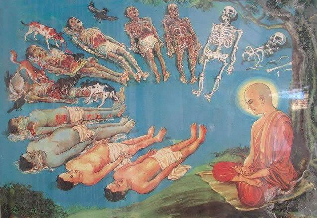 Thấy mọi thứ đang vận động để lặng yên