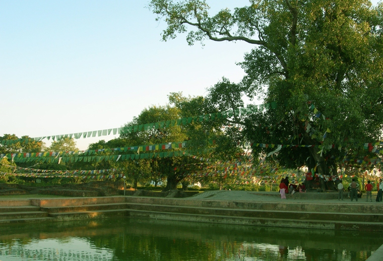 Thế Tôn ra đời đem an ổn đến cho chúng sanh