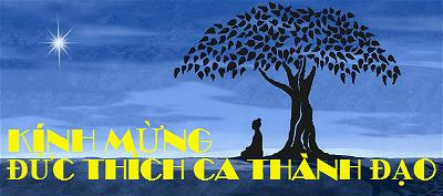 Thiền Quán Nền Tảng Thành Đạo Của Bồ-tát Siddhārtha