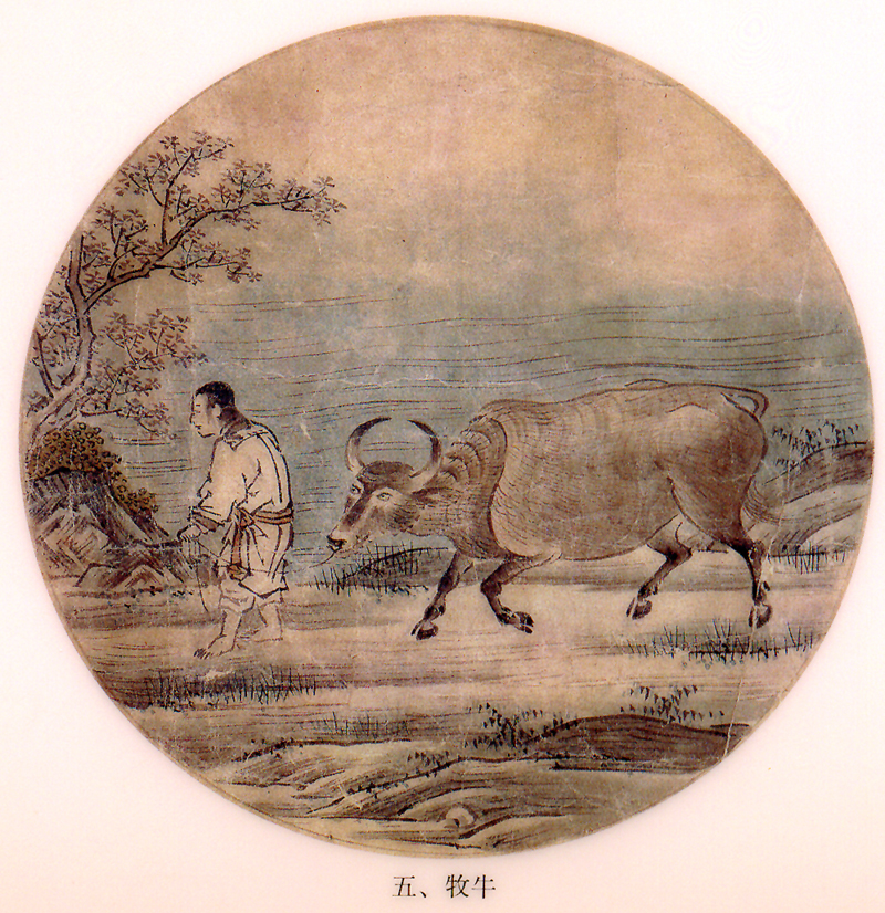 Thơ thiền sư Phổ Minh tụng tranh chăn Trâu