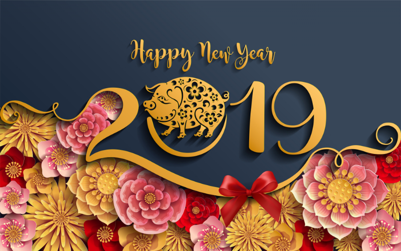 THÔNG ĐIỆP Chúc Xuân Kỷ Hợi - 2019 PL 2563 của  GHPGVN TN Âu Châu