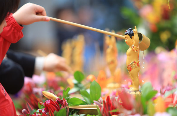 Thực hành tắm Phật sao cho đúng?