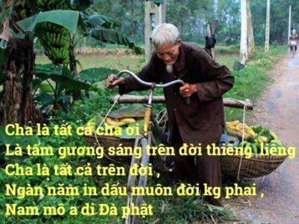 Tình Cha muôn thuở