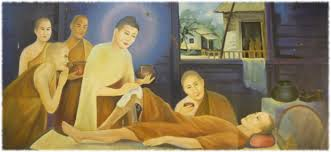 Tôn giả Vakkali (Bạt-ca-lê 跋迦梨) và bài học ai thấy Pháp, người ấy thấy Phật