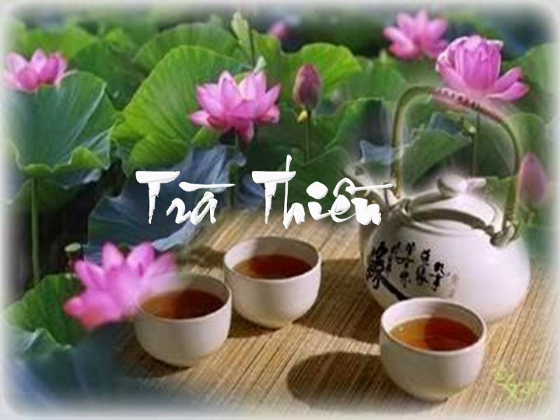 Trà Thiền