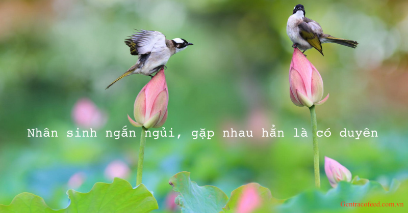 Trân trọng những nhân duyên trong kiếp người