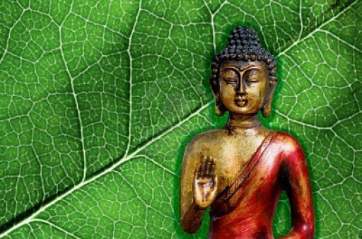 Trân trọng phúc báo mình đang có