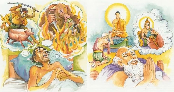 Tránh Chết Được Không?   