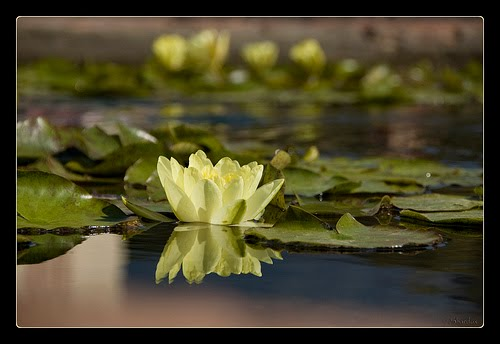 Tranh Thủ Thời Gian, Sống Trong Hiện Tại
