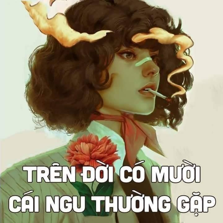 TRÊN ĐỜI CÓ MƯỜI CÁI NGU THƯỜNG GẶP