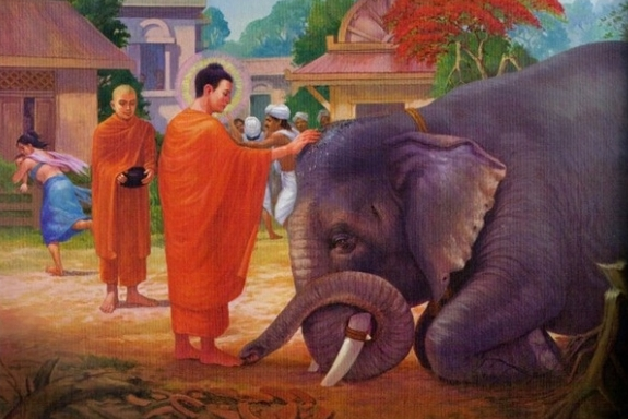 Trong tất cả các tội thì tội sát sinh là nặng nhất