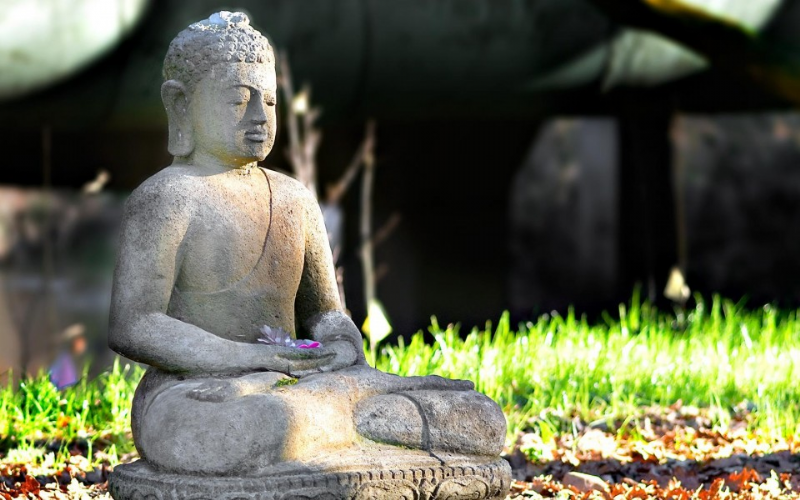 Tưởng vô thường, tưởng vô ngã, thoát mọi khổ đau