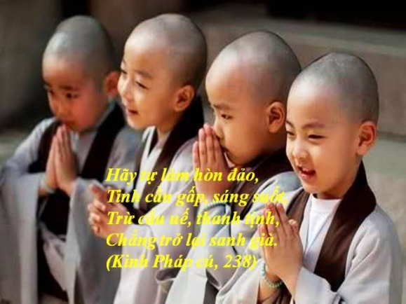 Tùy duyên điều phục tâm