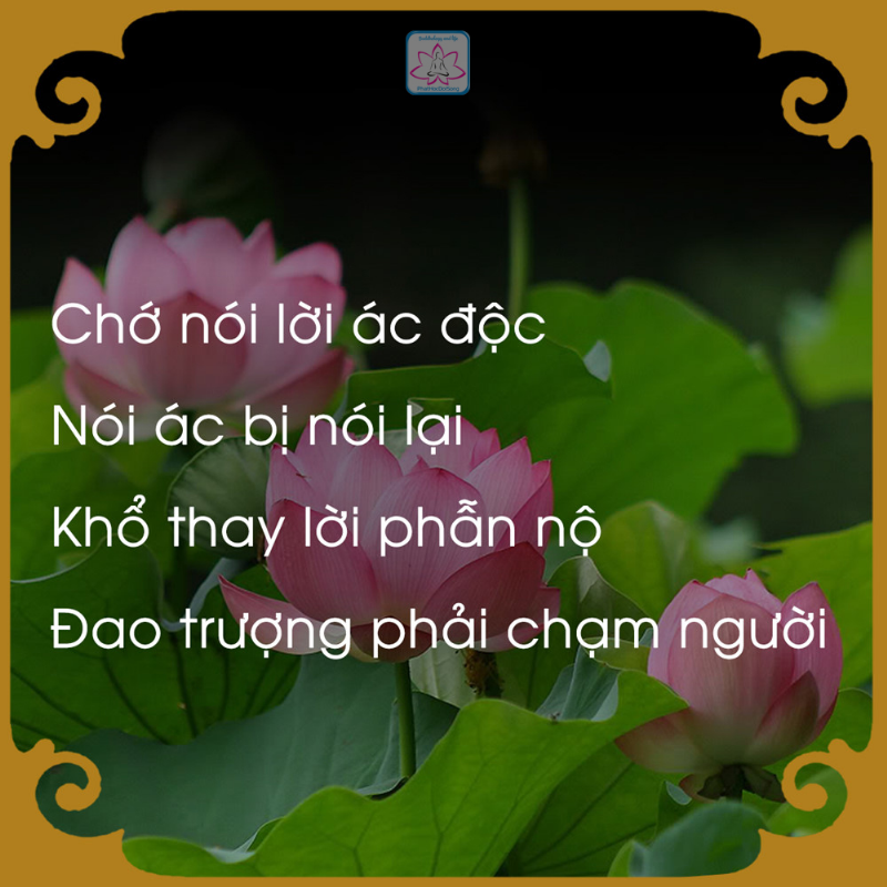 Vì sao chúng ta luôn làm tổn thương những người mình yêu mến