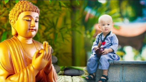 Ví sự tu học Phật như trồng cây lâu năm.