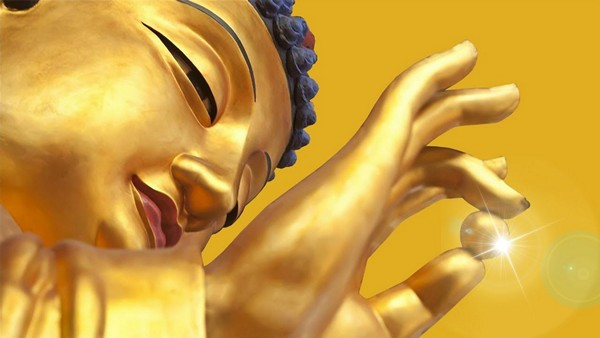Vì thương Phật…