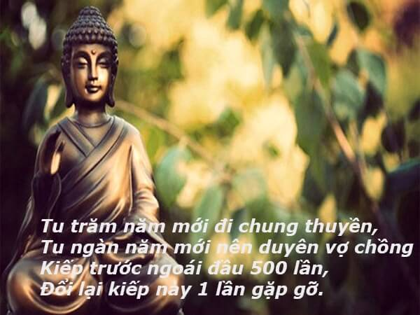 Vợ chồng phải cung kính nhau