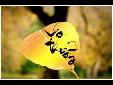 Vô thường: Dù đã yêu hay hận thù quá độ, đều sẽ nằm yên, nghe gió thổi rì rào…