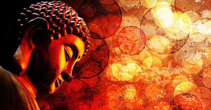 Ý tạo ác nghiệp đưa đến quả báo khổ