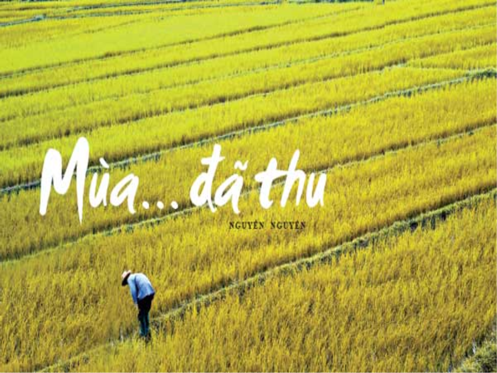 Mùa đã thu